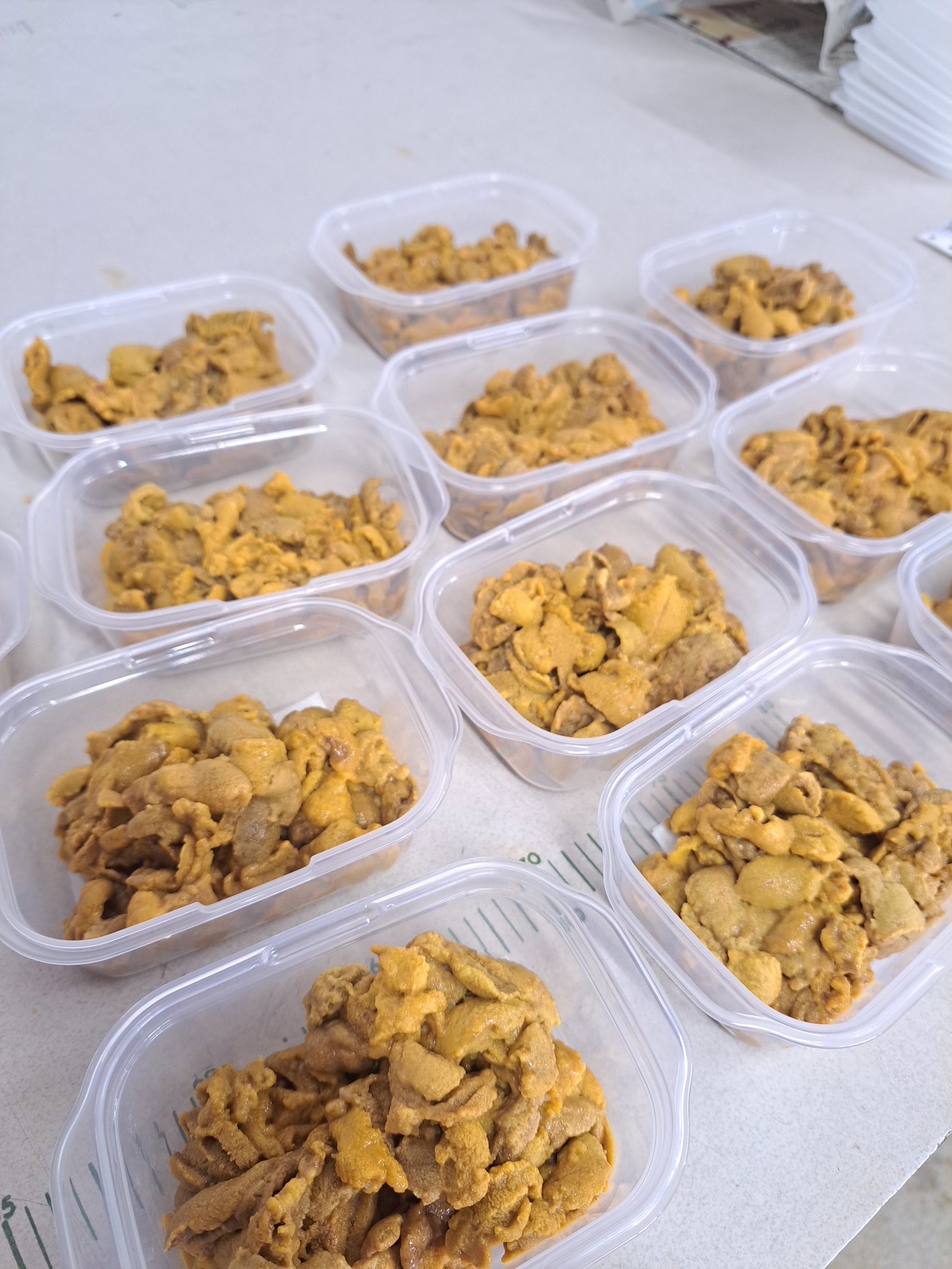 生ガンガゼウニ